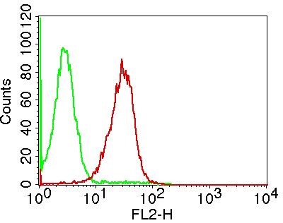 Fig-8: Intracellular FLOW cytometric analysis of Caspase 3 (Clone : ABM1C12) inon Jurkat cells using 05 µg/10^6 cells  of antibody. Goat anti-mouse PE conjugate was used as secondary antibody. Green represents isotope control (ABEOMICS), red represents anti-caspase 3 antibody.