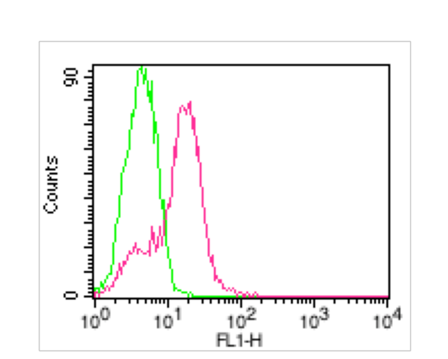 anti-ACE2, mAb (Clone: AC18F) (ATTO 488)