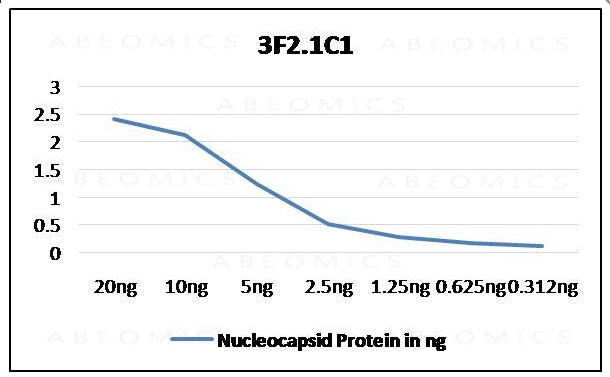 Monoclonal Antibody to SARS-CoV-2 Nucleocapsid  (Clone: ABM3F2.1C1)