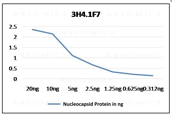 Monoclonal Antibody to SARS-CoV-2 Nucleocapsid (Clone: ABM3H4.1F7)