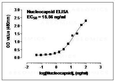 Monoclonal Antibody to SARS-CoV-2 nucleocapsid (Clone: ABM4H11.1C12)