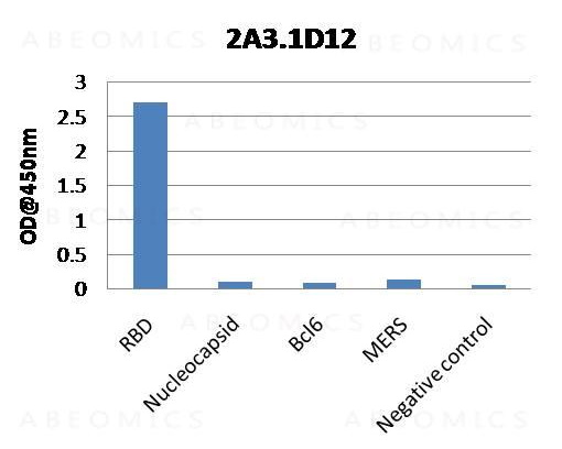 Anti-SARS CoV2 Spike RBD Antibody (Clone: ABM2A3.1D12)