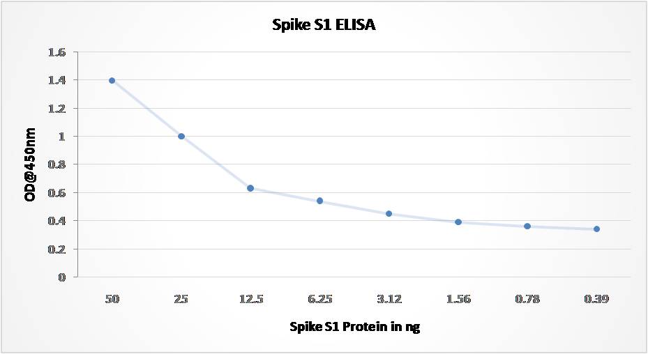 Anti-SARS CoV2 Spike RBD Antibody (Clone: ABM1H9.1E6)