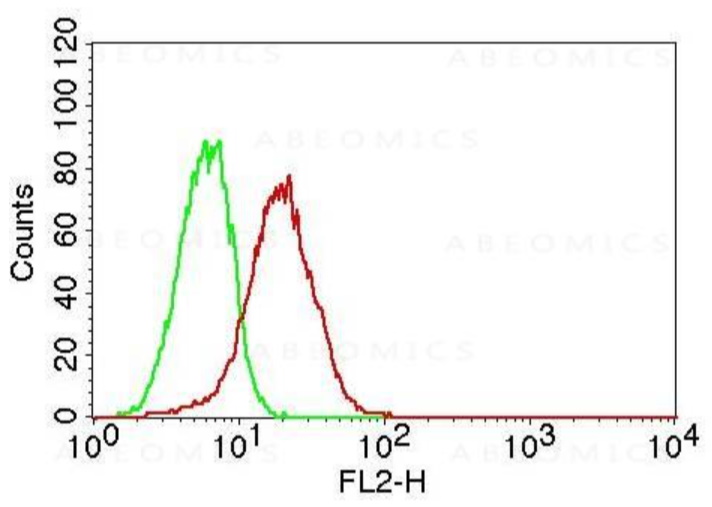 NALE™ Monoclonal Antibody to TLR6 (Clone: ABM1B50)