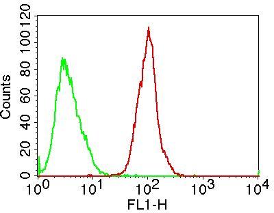 Monoclonal Antibody to TLR8/CD288  FITC Conjugated (Clone: ABM15F6)