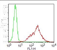 Monoclonal Antibody to TLR4 / CD284 (Clone: ABM19C4) FITC Conjugated