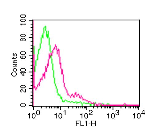 Monoclonal antibody to Mouse TLR4 CD284 (Clone: MTS510)