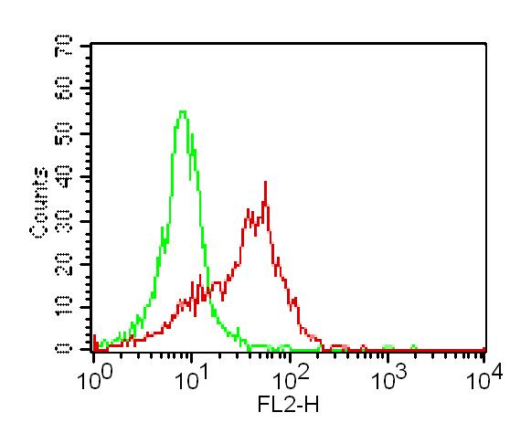 Monoclonal Antibody to TLR2 (Clone: ABM3A87) PE conjugated