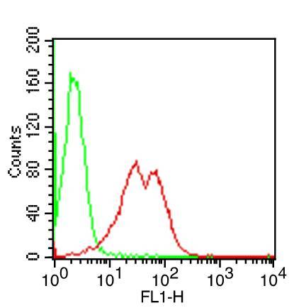 Monoclonal Antibody to Mouse TLR9 (Clone: ABM4D70) FITC Conjugated