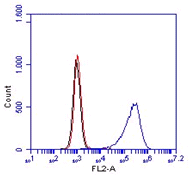 Figure-1: Flow analysis of  CD14 antibody (Clone:Sa14-2) in  Raw cells, blue represents CD14 using 1 µg/ml Rred represents Isotope control Rat IgG2a and black represent Cell alone.