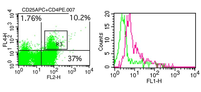 Monoclonal Antibody to FOXP3 (Clone: 3G3) FITC conjugated