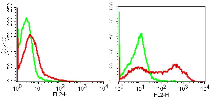 Monoclonal antibody to TIM-3 (Clone: ABM31A8)