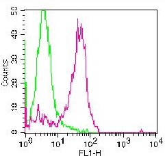 Monoclonal Antibody to Human CD13 (Clone: BF10) FITC Conjugated