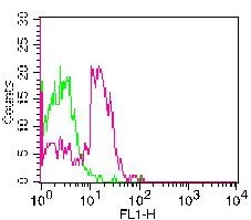 Monoclonal Antibody to CD28 (Clone: CB28) FITC Conjugated