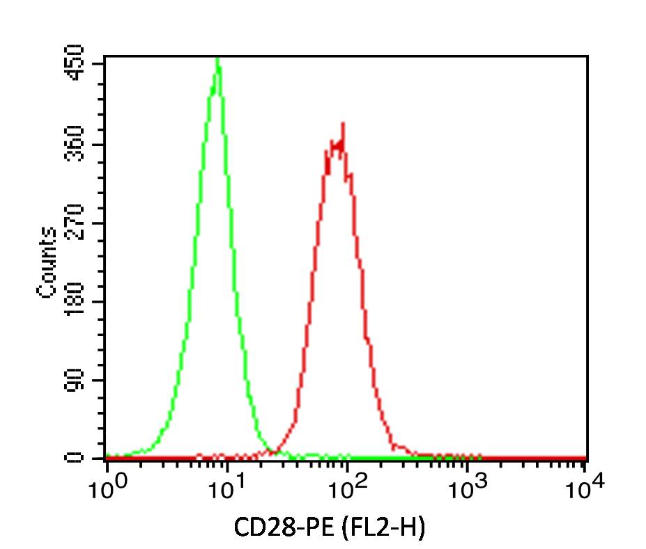 Monoclonal Antibody to CD28 (Clone: CB28)