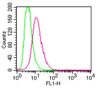 Monoclonal Antibody to h/m CD11b (Clone: M1/70) FITC conjugated