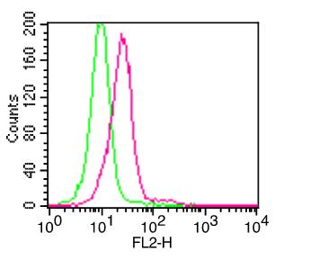 Monoclonal Antibody to IkB alpha (Clone: ABM11B7)