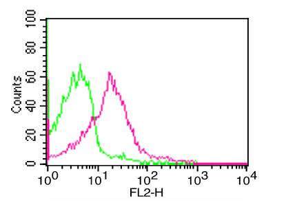 Monoclonal Antibody to Human PD-L1 (Clone: ABM4E54) (BSA/AZIDE Free)