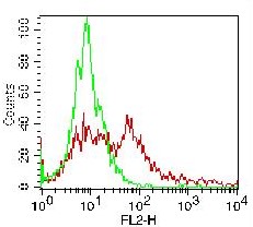 Monoclonal Antibody to Human PD-L1 (Clone: ABM4E54) PE Conjugated