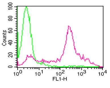 Monoclonal antibody to Human PD-L1 FITC conjugated (Clone: ABM5F25)