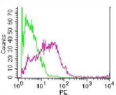 Monoclonal Antibody to Mouse PD-L2 (Clone: Ty25)