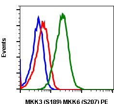 Phospho-MKK3 (S189)/MKK6 (S207) (Clone: D3) rabbit mAb PE conjugate