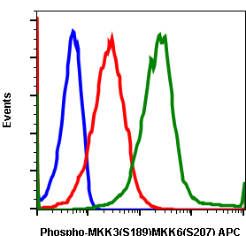 Phospho-MKK3 (S189)/MKK6 (S207) (Clone: D3) rabbit mAb APC conjugate