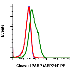 Cleaved PARP (Asp214) (Clone: H8) rabbit mAb PE conjugate