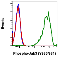 Fig-1: Flow cytometric analysis of Ramos secondary antibody only negative control (blue) or untreated (red) or treated with pervanadate (green) using phospho-Jak3 (Tyr980/981) antibody JAK3Y980981-E10, 0.01 µg/mL.