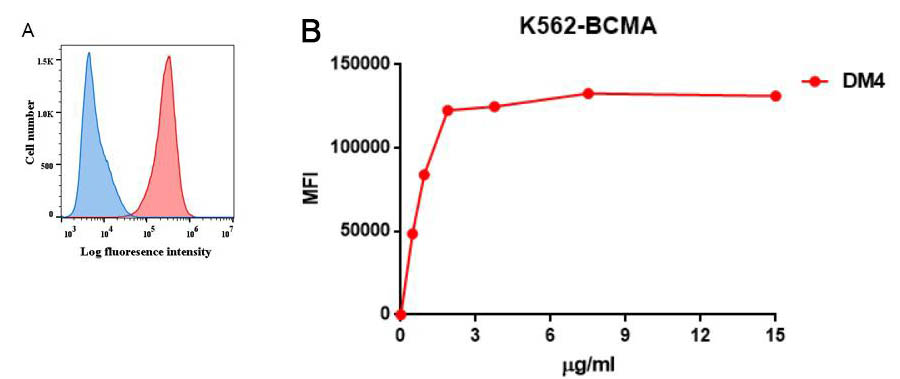 Figure 1. A. FACS analysis with anti-BCMA (DM4) on K562-BCMA (Red histogram) (K562 cells stably transduced by human BCMA full length gene) and K562 (Negative control cell line) (Blue histogram). B. FACS data of serially titrated anti-BCMA (DM4). The Y-axis represents the mean fluorescence intensity (MFI) while the X-axis represents the concentration of IgG used.
