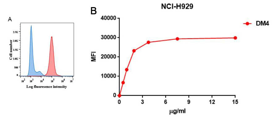Figure 2. A. FACS analysis with anti-BCMA (DM4) on NCI-H929 cells (Red histogram) or rabbit control antibody on NCI-H929 cells (Blue histogram). B. FACS data of serially titrated anti-BCMA (DM4) on NCI-H929 cells. The Y-axis represents the mean fluorescence intensity (MFI) while the X-axis represents the concentration of IgG used.