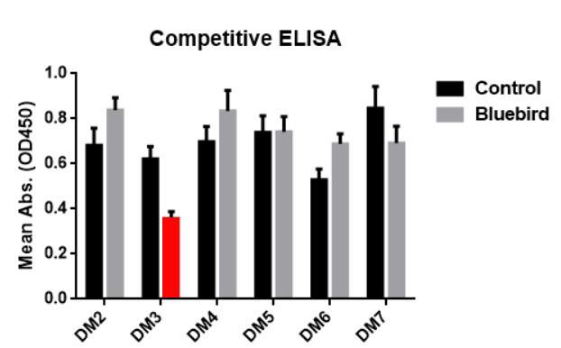 Figure 5. ELISA plate was coated with recombinant BCMA-hFc fusion protein , followed by pre-blocking with huC11D5.3 antibody (Grey bar) or rabbit control IgG (Black bar), and then different rabbit  antibodies were added to check the competitive inhibition of huC11D5.3. DM3 clone exhibits the strongest inhibition (Red bar). This data indicated that DM3 bind to the same epitope as bb2121.