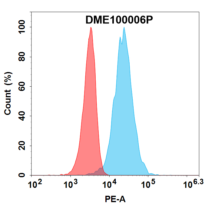 PE-conjugated Anti-BCMA antibody(DM6); Rabbit mAb PE-conjugated Anti-BCMA antibody(DM6); Rabbit mAb