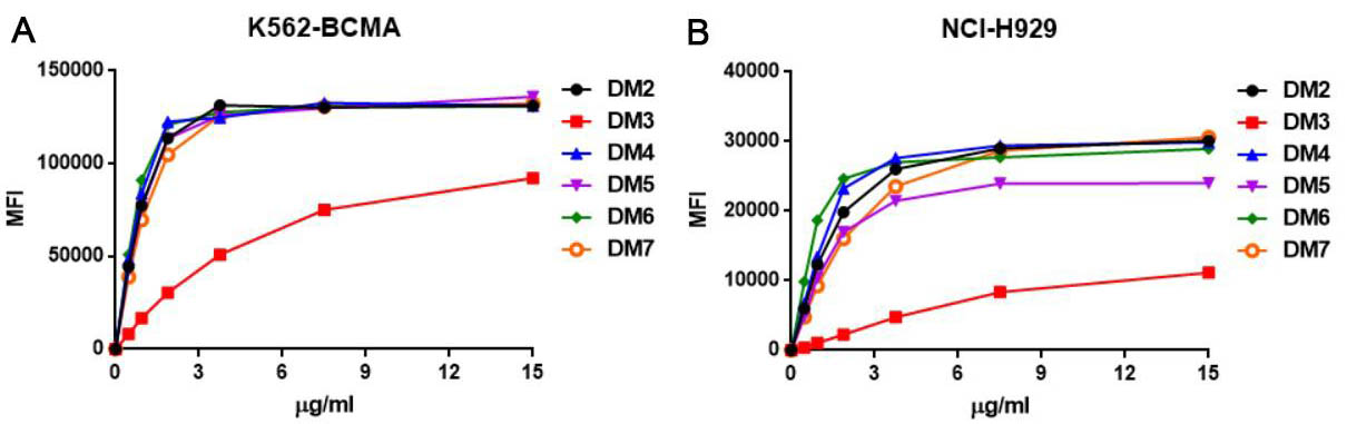 Anti-BCMA antibody(DM6), Rabbit mAb
