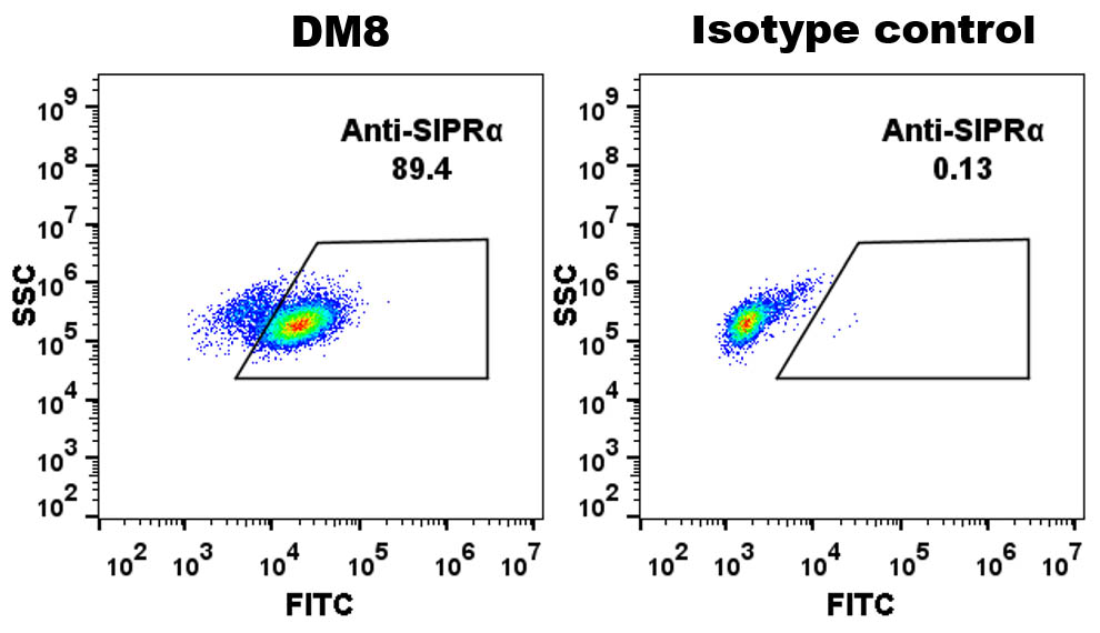 Anti-SIRP Alpha antibody(DM8), Rabbit mAb