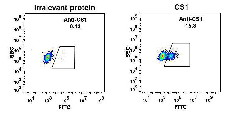 Figure 1. Expi 293 cell line transfected with irrelevant protein (left) and human CS1 (right) were surface stained with Rabbit anti-CS1monoclonal antibody 1µg/ml (clone: DM9) followed by Alexa 488-conjugated anti-rabbit IgG secondary antibody.