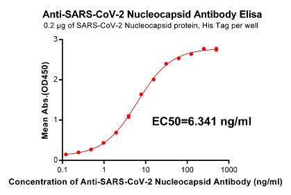 Anti-SARS-CoV-2 Nucleocapsid antibody(DM22), Rabbit mAb