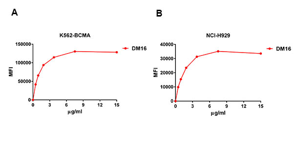 Anti-BCMA antibody(DM16), Rabbit mAb