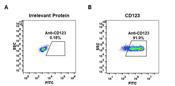 Anti-CD123 antibody(DM31), Rabbit mAb
