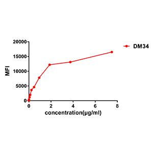 Anti-CD123 antibody(DM34), Rabbit mAb