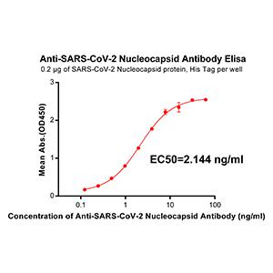 Anti-SARS-CoV-2 Nucleocapsid antibody(DM36), Rabbit mAb