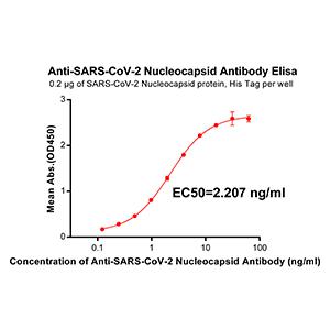 Anti-SARS-CoV-2 Nucleocapsid antibody(DM37), Rabbit mAb