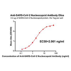 Anti-SARS-CoV-2 Nucleocapsid antibody(DM38), Rabbit mAb
