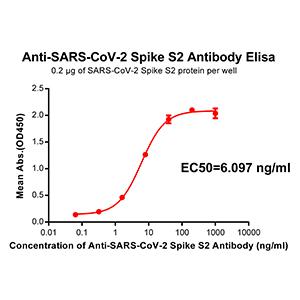 Anti-SARS-CoV-2 Spike antibody(DM40), Rabbit mAb