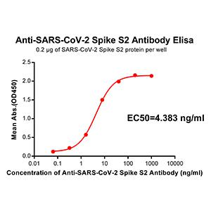 Anti-SARS-CoV-2 Spike antibody(DM41), Rabbit mAb