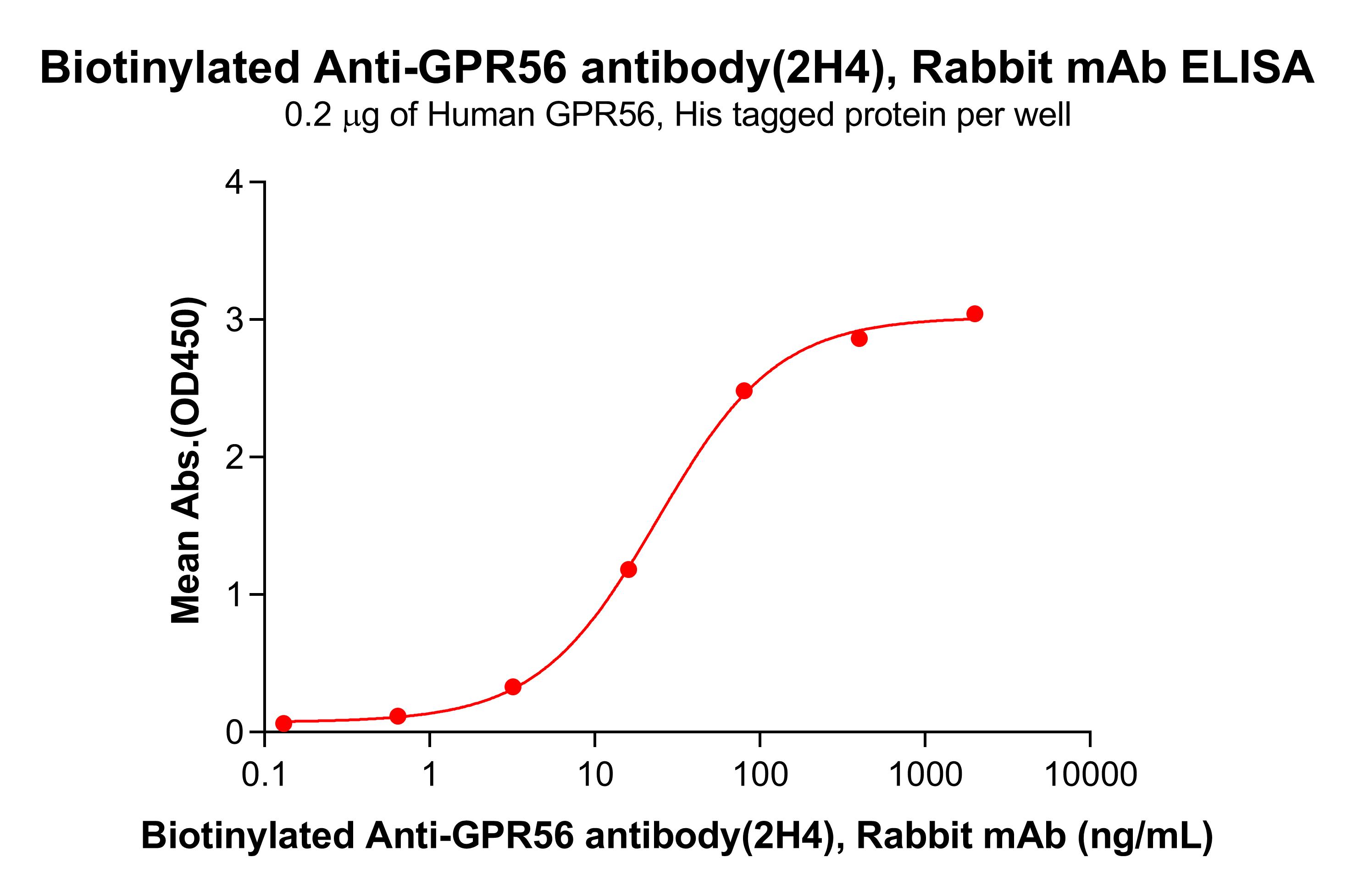 Anti-GPR56 antibody(2H4), Rabbit mAb Anti-GPR56 antibody(2H4), Rabbit mAb