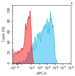 Anti-GPR56 antibody(2H4), Rabbit mAb Anti-GPR56 antibody(2H4), Rabbit mAb