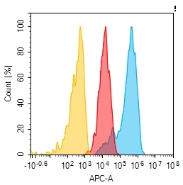 Anti-CD9 antibody(2G3), Rabbit mAb Anti-CD9 antibody(2G3), Rabbit mAb