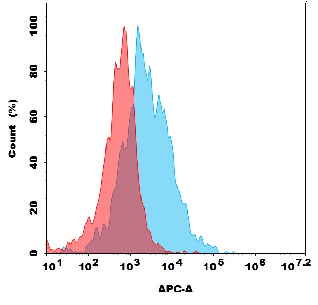 Anti-GRPR antibody(3B12), Rabbit mAb Anti-GRPR antibody(3B12), Rabbit mAb