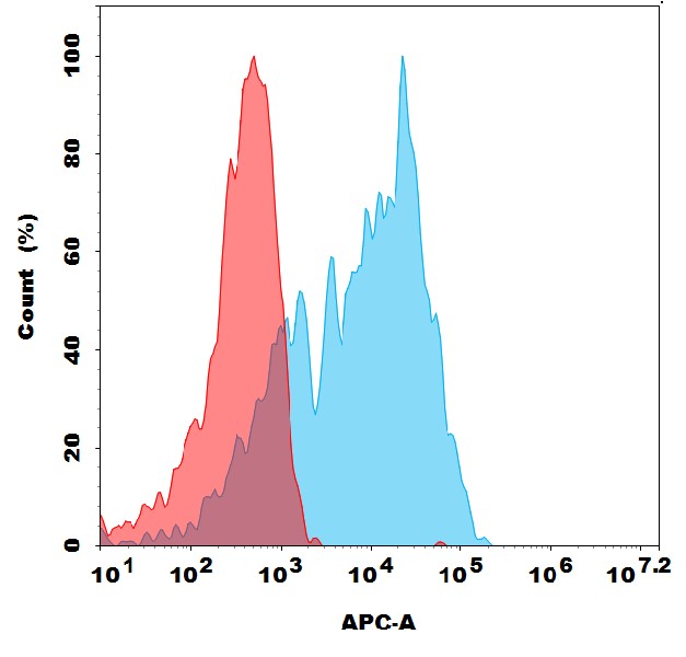 Anti-DLK1 antibody(2C5), Rabbit mAb Anti-DLK1 antibody(2C5), Rabbit mAb